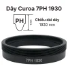 Dây curoa 7PH 1930 chính hãng