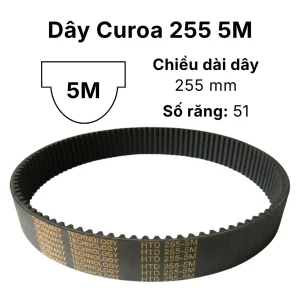 Thông số dây curoa 255 5M